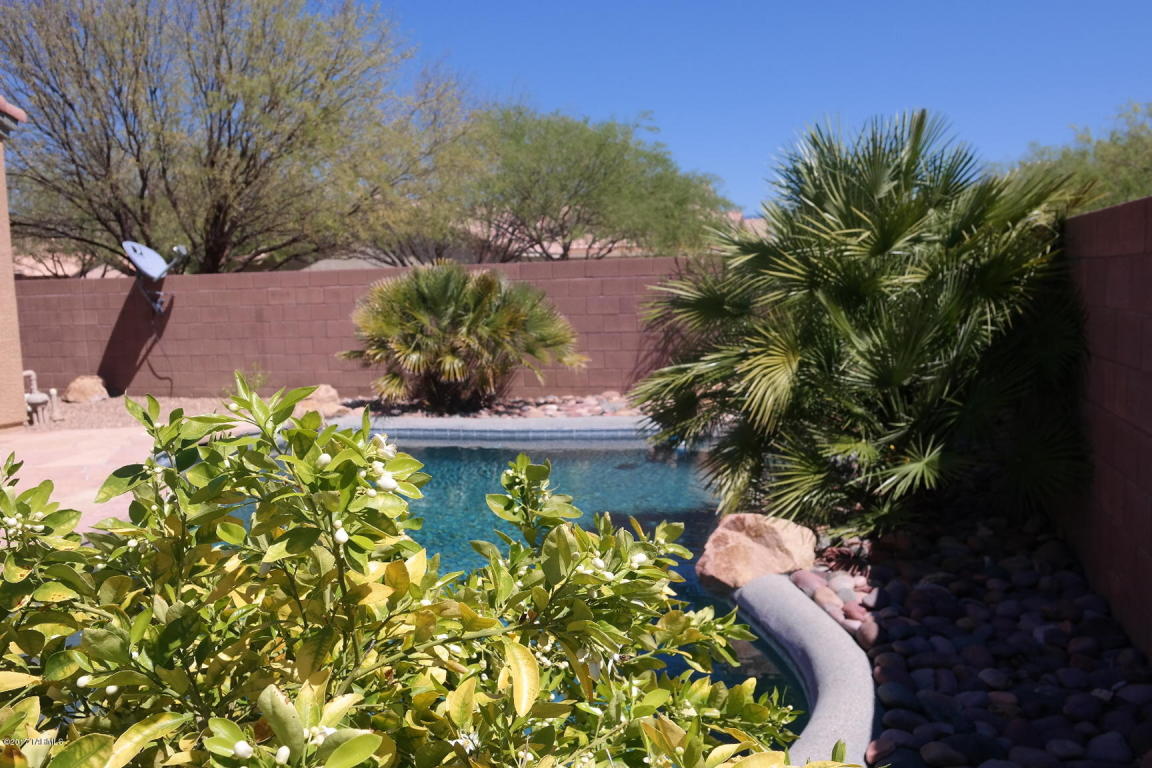 10538 E Heartleaf Dr, Tucson, AZ 85747 photo 41