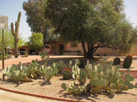 7002 E 4th St, Tucson, AZ 85710 photo 7