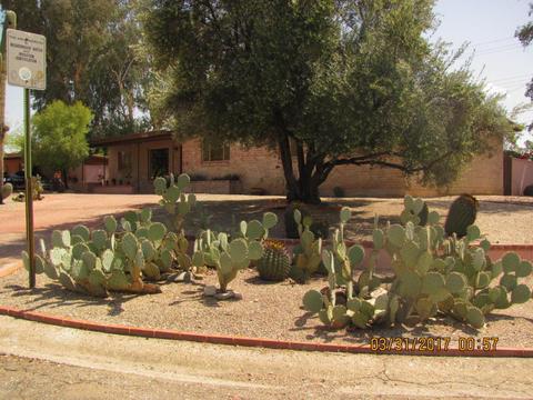 7002 E 4th St, Tucson, AZ 85710 photo 8
