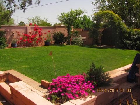 7002 E 4th St, Tucson, AZ 85710 photo 32