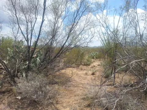 3410 E Mescalero Dr, Vail, AZ 85641 photo 8