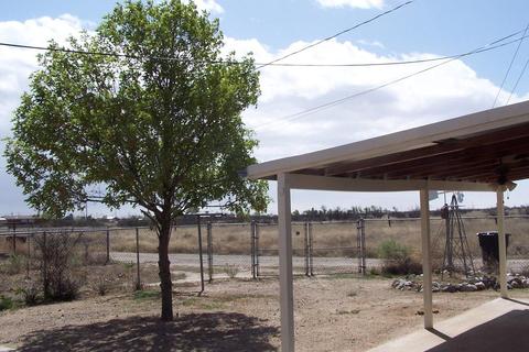 702 W Soto St, Willcox, AZ 85643 photo 12