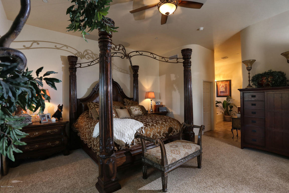 14558 E Desert Plume Ct, Vail, AZ 85641 photo 21