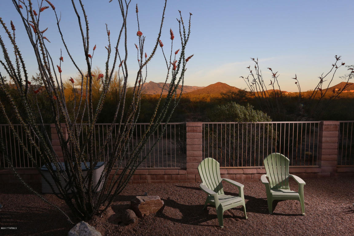 14558 E Desert Plume Ct, Vail, AZ 85641 photo 31
