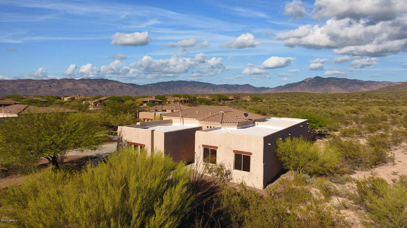 14558 E Desert Plume Ct, Vail, AZ 85641 photo 6