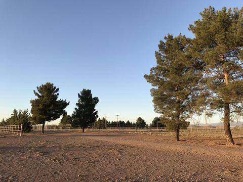 4075 W Webb Rd, Elfrida, AZ 85610 photo 40