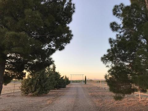 4075 W Webb Rd, Elfrida, AZ 85610 photo 4