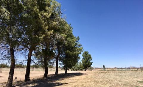 4075 W Webb Rd, Elfrida, AZ 85610 photo 36