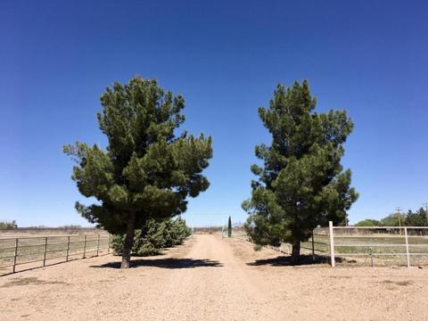 4075 W Webb Rd, Elfrida, AZ 85610 photo 37
