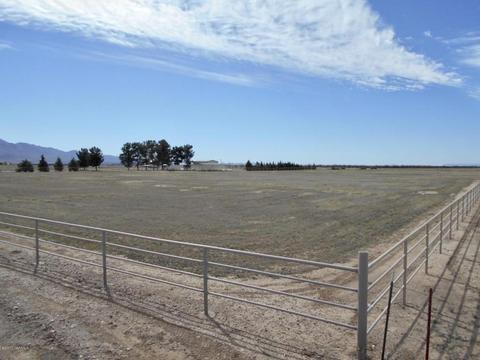 4075 W Webb Rd, Elfrida, AZ 85610 photo 38