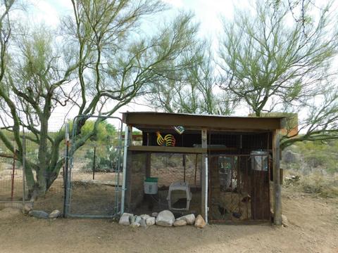 13770 E Fire Dancer Rd, Vail, AZ 85641 photo 35