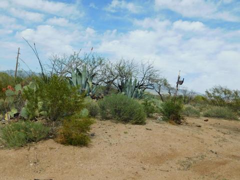 13770 E Fire Dancer Rd, Vail, AZ 85641 photo 39