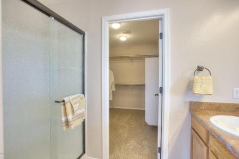 12896 E Red Iron Trl, Vail, AZ 85641 photo 18