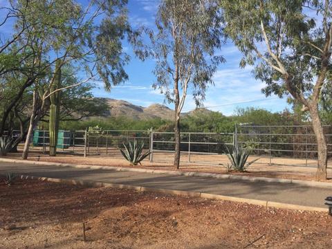 11441 E Limberlost Rd, Tucson, AZ 85749 photo 5