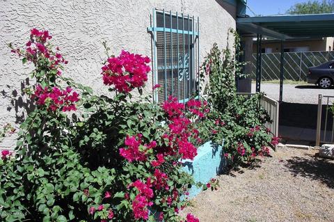 1419 E Hedrick Dr, Tucson, AZ 85719 photo 3