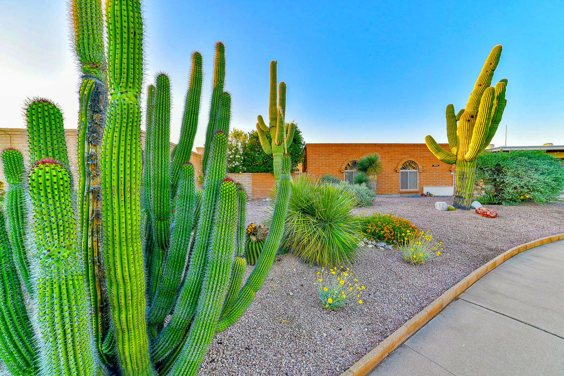 9241 E Simon Pl, Tucson, AZ 85710 photo 8