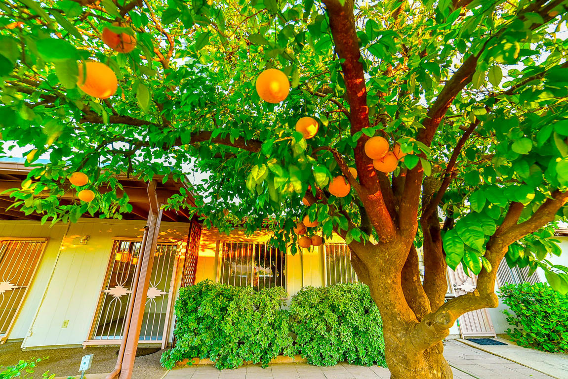 9241 E Simon Pl, Tucson, AZ 85710 photo 35