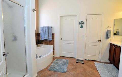 13585 E Aviara Pl, Vail, AZ 85641 photo 25