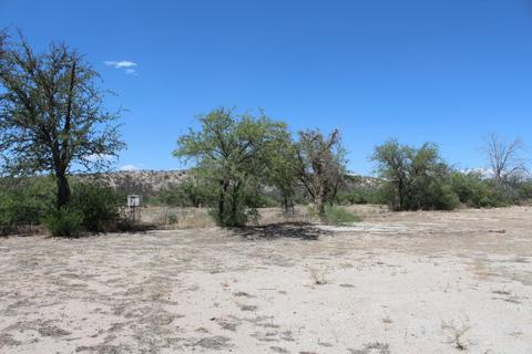 912 E Old Pomerene Rd, Benson, AZ 85602 photo 20