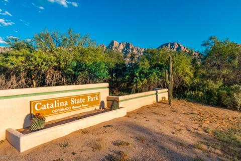 2547 E Chisel Ct, Oro Valley, AZ 85755 photo 30