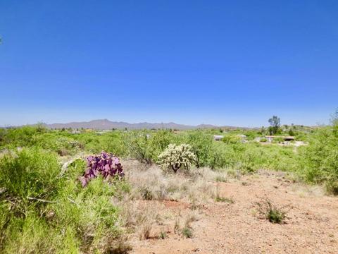 4001 E 3939 E Pinal St, Tucson, AZ 85739 photo 43