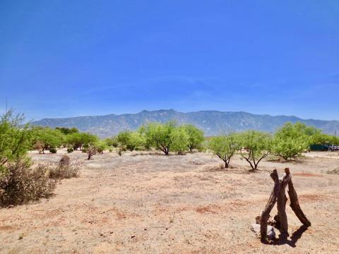 4001 E 3939 E Pinal St, Tucson, AZ 85739 photo 37