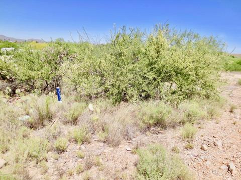 4001 E 3939 E Pinal St, Tucson, AZ 85739 photo 44