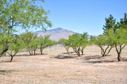 25131 E Shawnee St, Benson, AZ 85602 photo 34