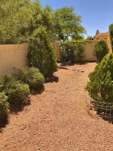 3565 W Thundercloud Loop, Tucson, AZ 85742 photo 13