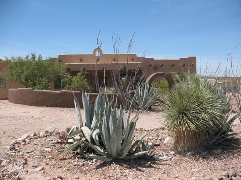 13698 E Ocotillo Bloom Dr, Vail, AZ 85641 photo 40
