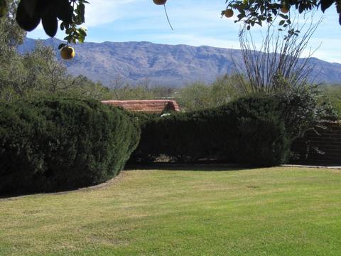 11311 E Comanchero Cir, Tucson, AZ 85749 photo 27