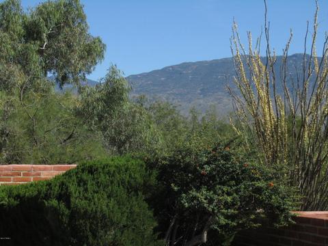 11311 E Comanchero Cir, Tucson, AZ 85749 photo 26