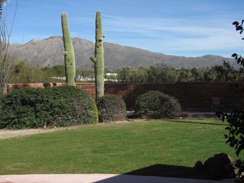 11311 E Comanchero Cir, Tucson, AZ 85749 photo 25