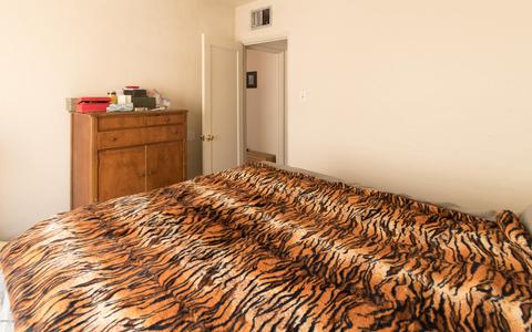 1127 E 8th St, Tucson, AZ 85719 photo 13
