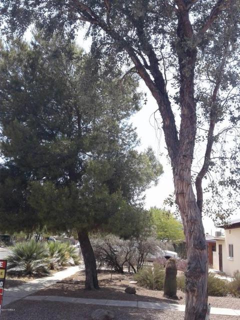 2939 E 20th St, Tucson, AZ 85716 photo 21