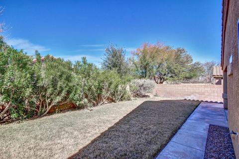10565 E Feltleaf Willow Trl, Tucson, AZ 85747 photo 24