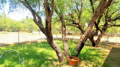 343 S Ewing St, Saint David, AZ 85630 photo 1