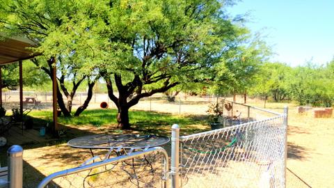 343 S Ewing St, Saint David, AZ 85630 photo 2