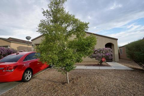 5204 E Desert Straw Ln, Tucson, AZ 85756 photo 13