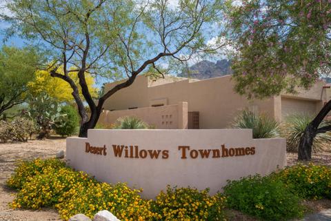 155 E Bowers Ct, Tucson, AZ 85704 photo 30