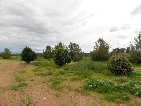 13537 S Clovis Rd, Pearce, AZ 85625 photo 10