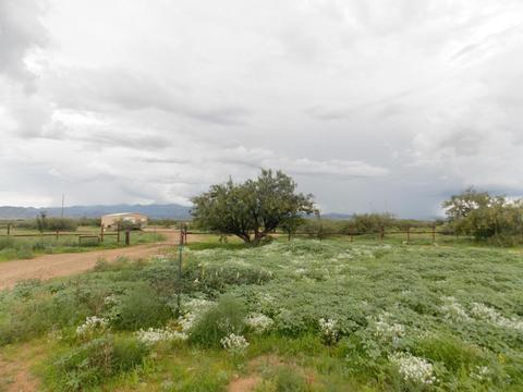 13537 S Clovis Rd, Pearce, AZ 85625 photo 9