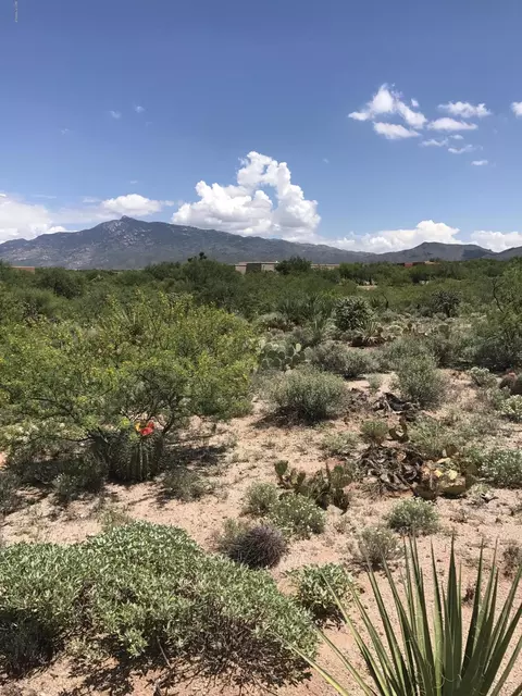 14751 E Triangle M Ranch Rd, Vail, AZ 85641 photo 1