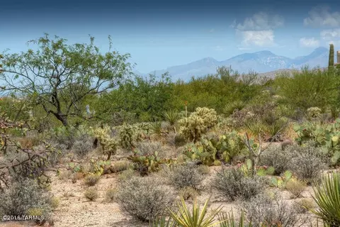14751 E Triangle M Ranch Rd, Vail, AZ 85641 photo 2