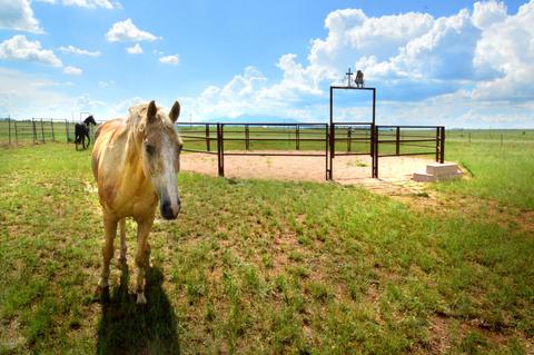 488 Lower Elgin Rd, Elgin, AZ 85611 photo 45