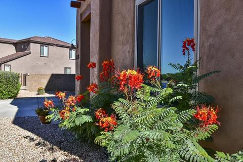 283 E Refuge Loop, Vail, AZ 85641 photo 3