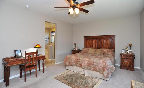 112 E Adytum Pl, Vail, AZ 85641 photo 16