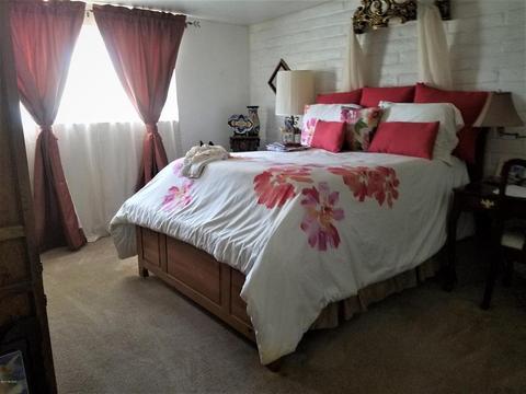 301 E Bromley St, Tucson, AZ 85704 photo 10