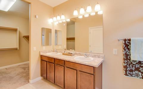 12428 E Corte Manta, Vail, AZ 85641 photo 13