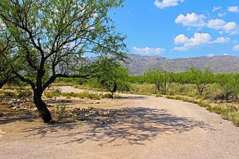 12130 E Roger Rd, Tucson, AZ 85749 photo 2